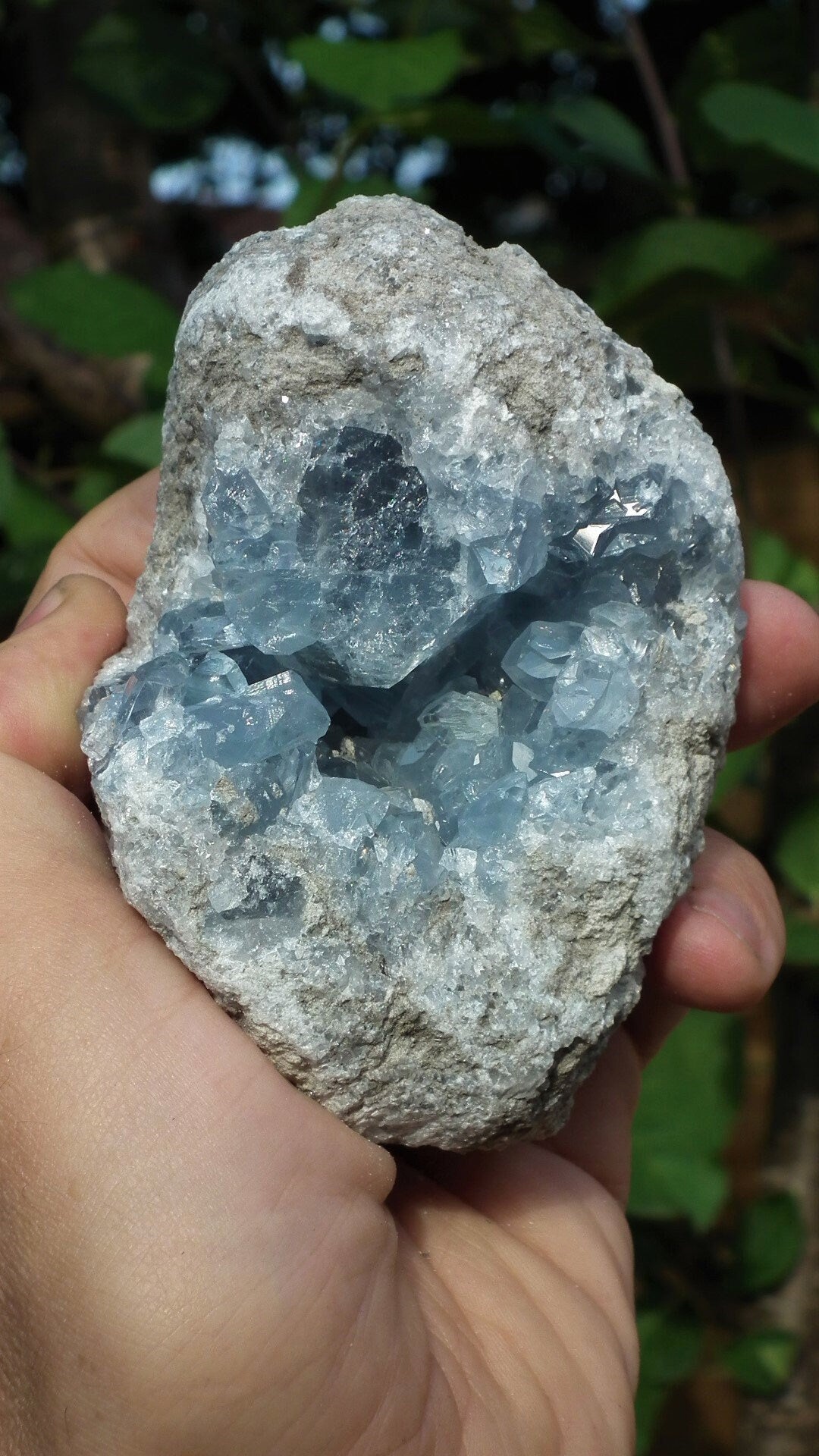 Celestite cluster / Celestite crystal / Celestite geode / Blue celestite