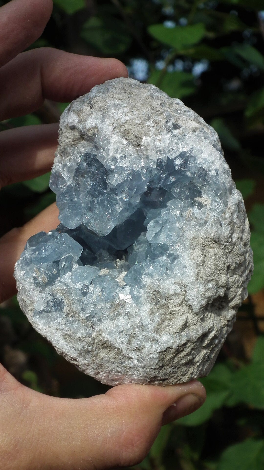 Celestite cluster / Celestite crystal / Celestite geode / Blue celestite