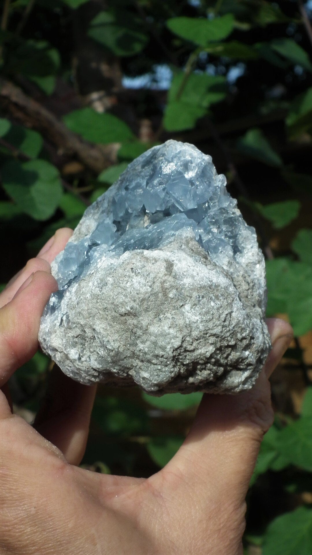 Celestite cluster / Celestite crystal / Celestite geode / Blue celestite