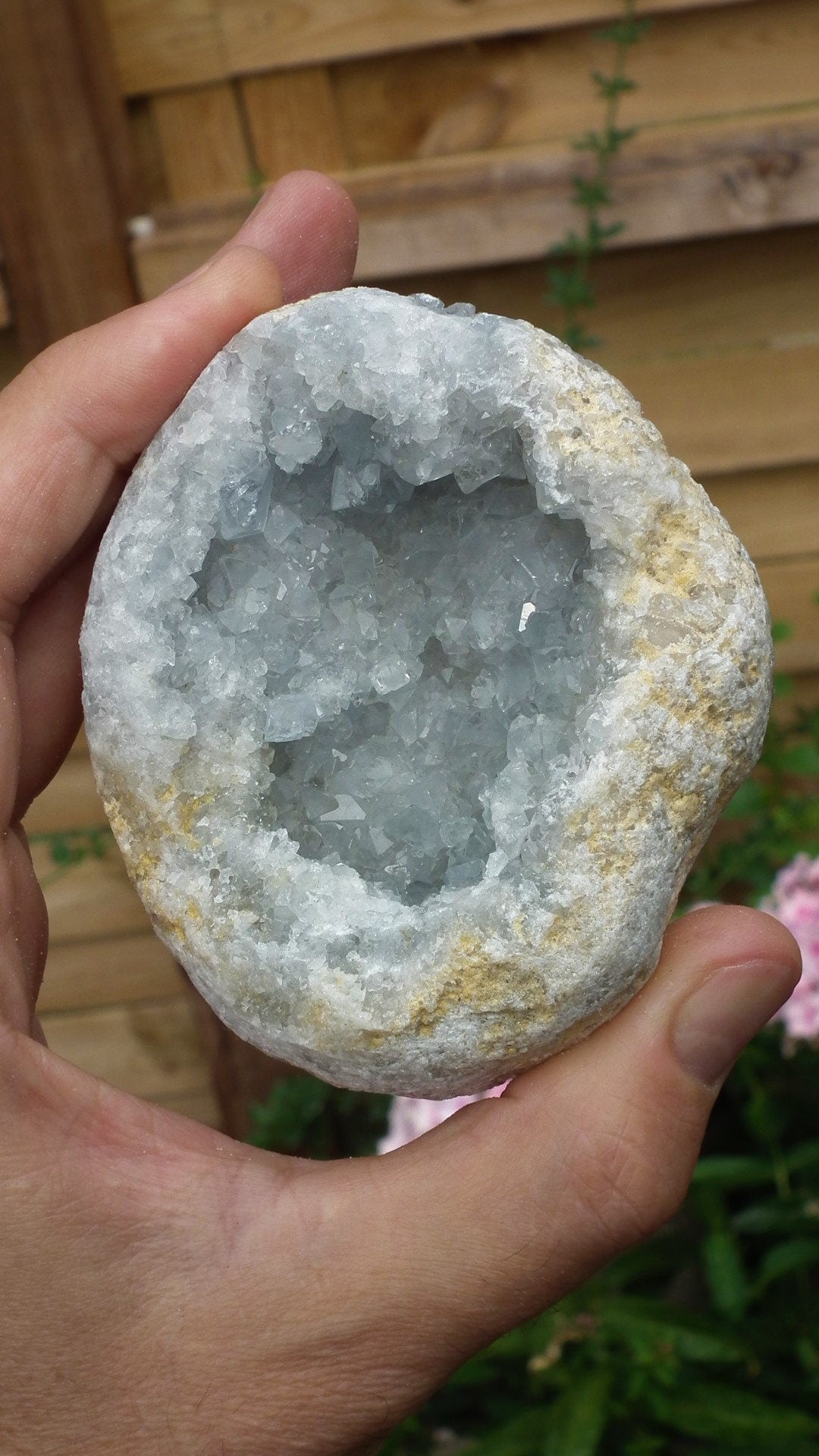 Celestite cluster / Celestite crystal / Raw celestite