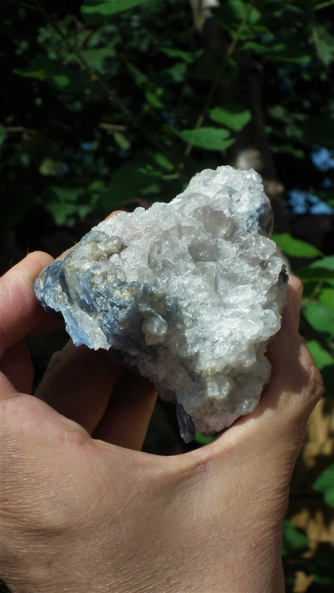 raw blue kyanite / large blue kyanite