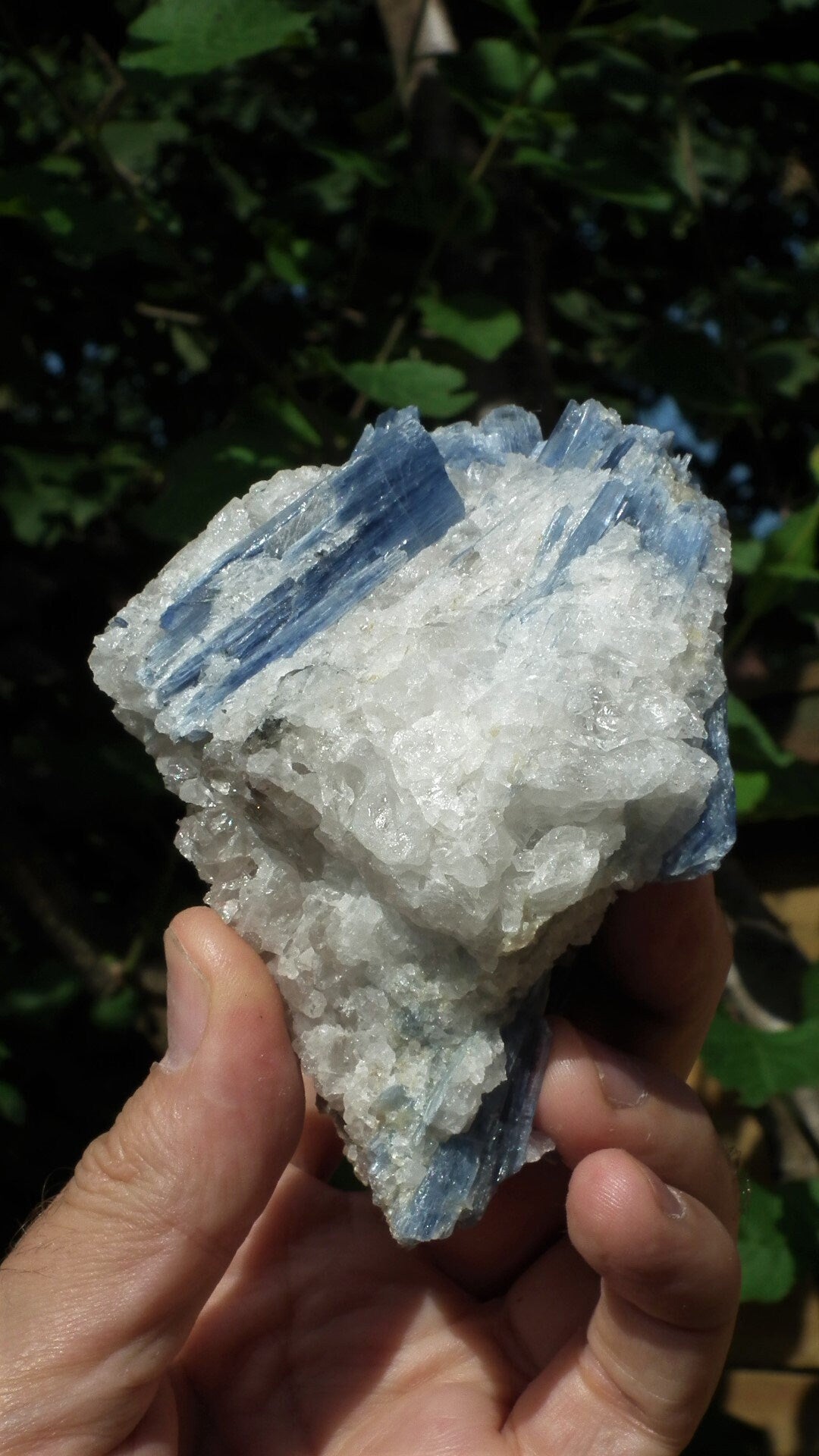 raw blue kyanite / large blue kyanite