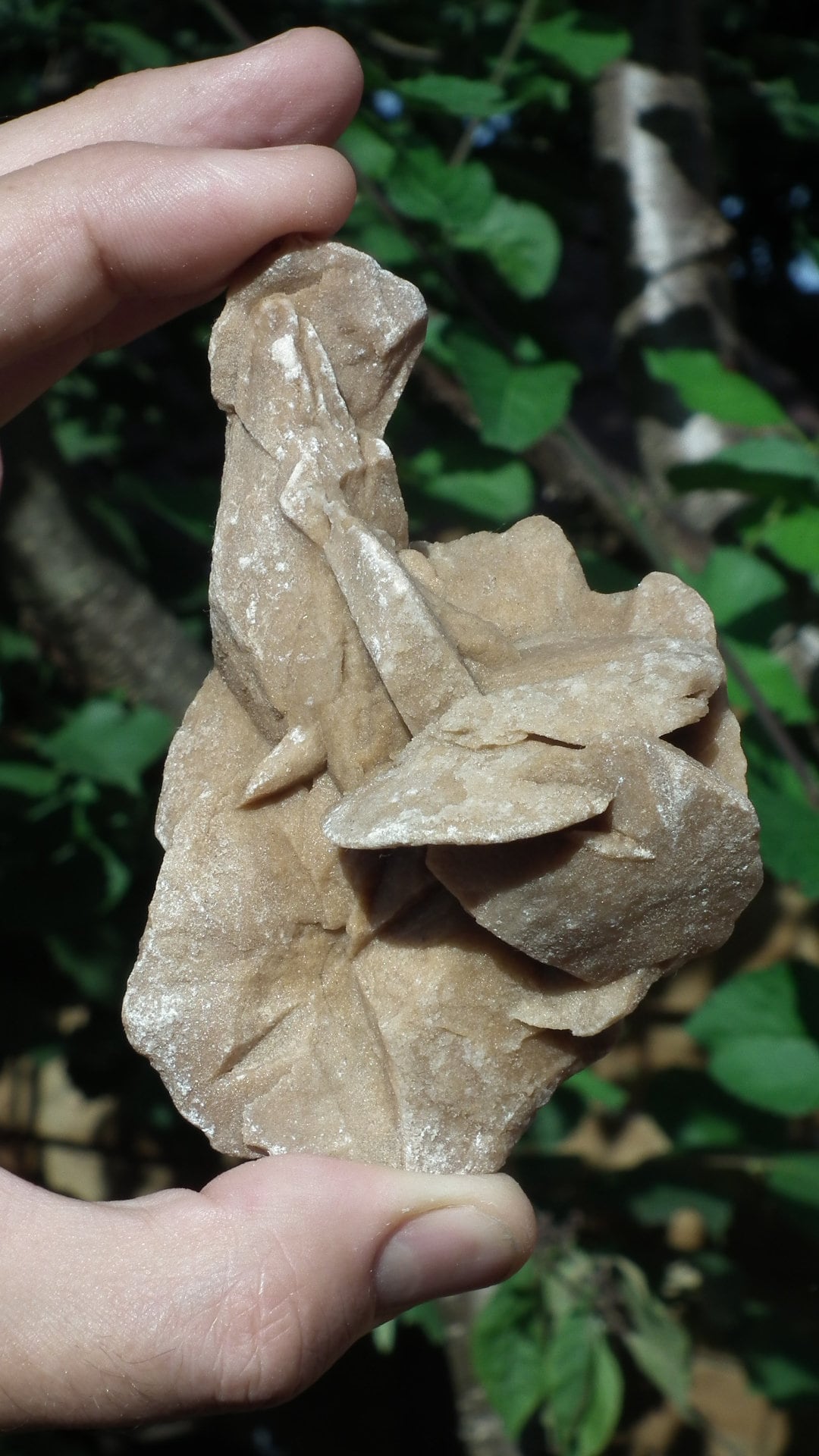 Desert rose crystal