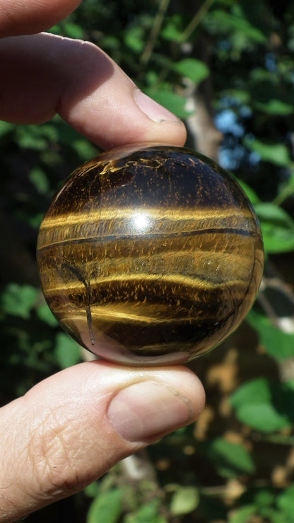 49mm Tiger eye sphere / ball / orb