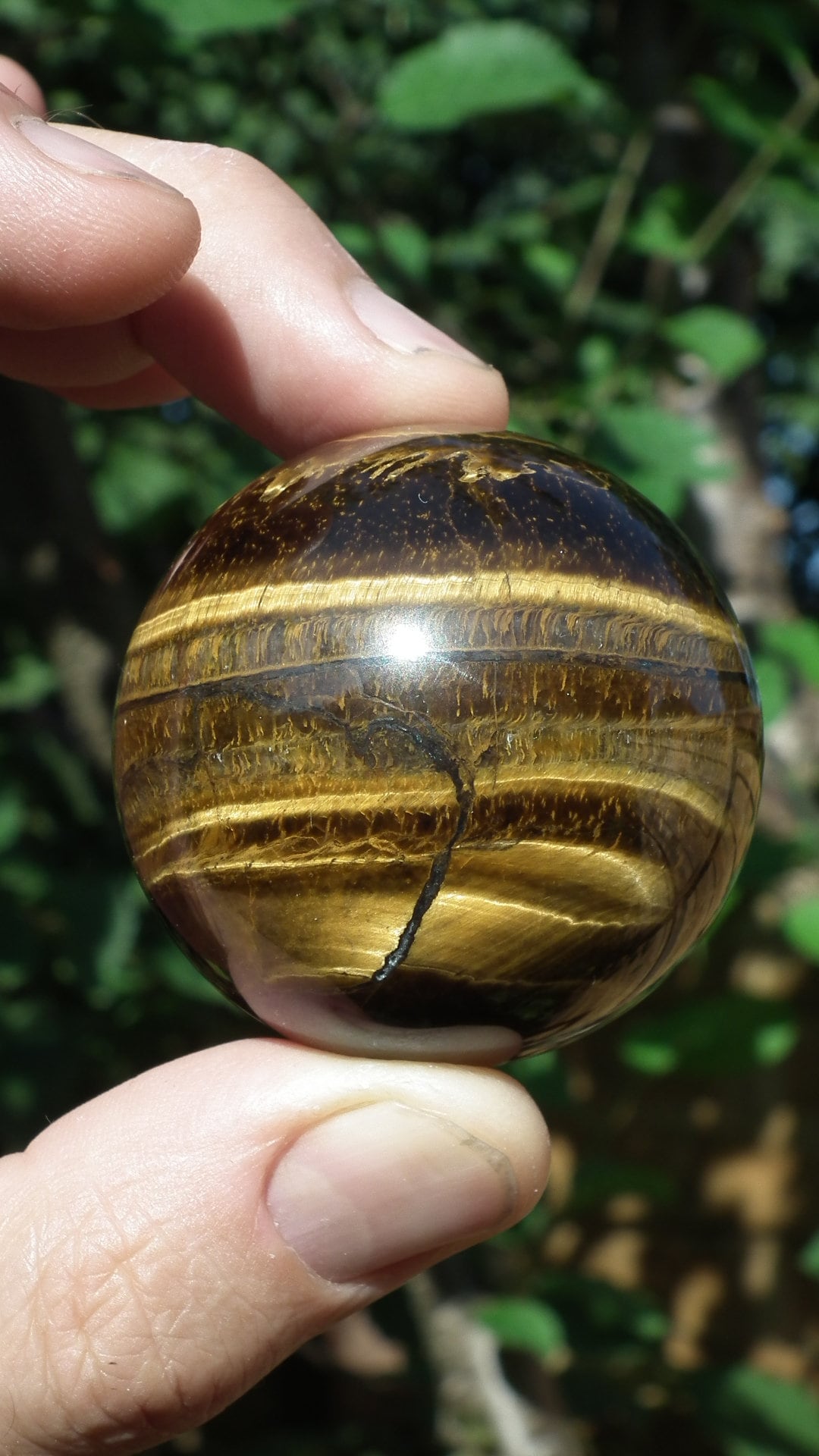 49mm Tiger eye sphere / ball / orb