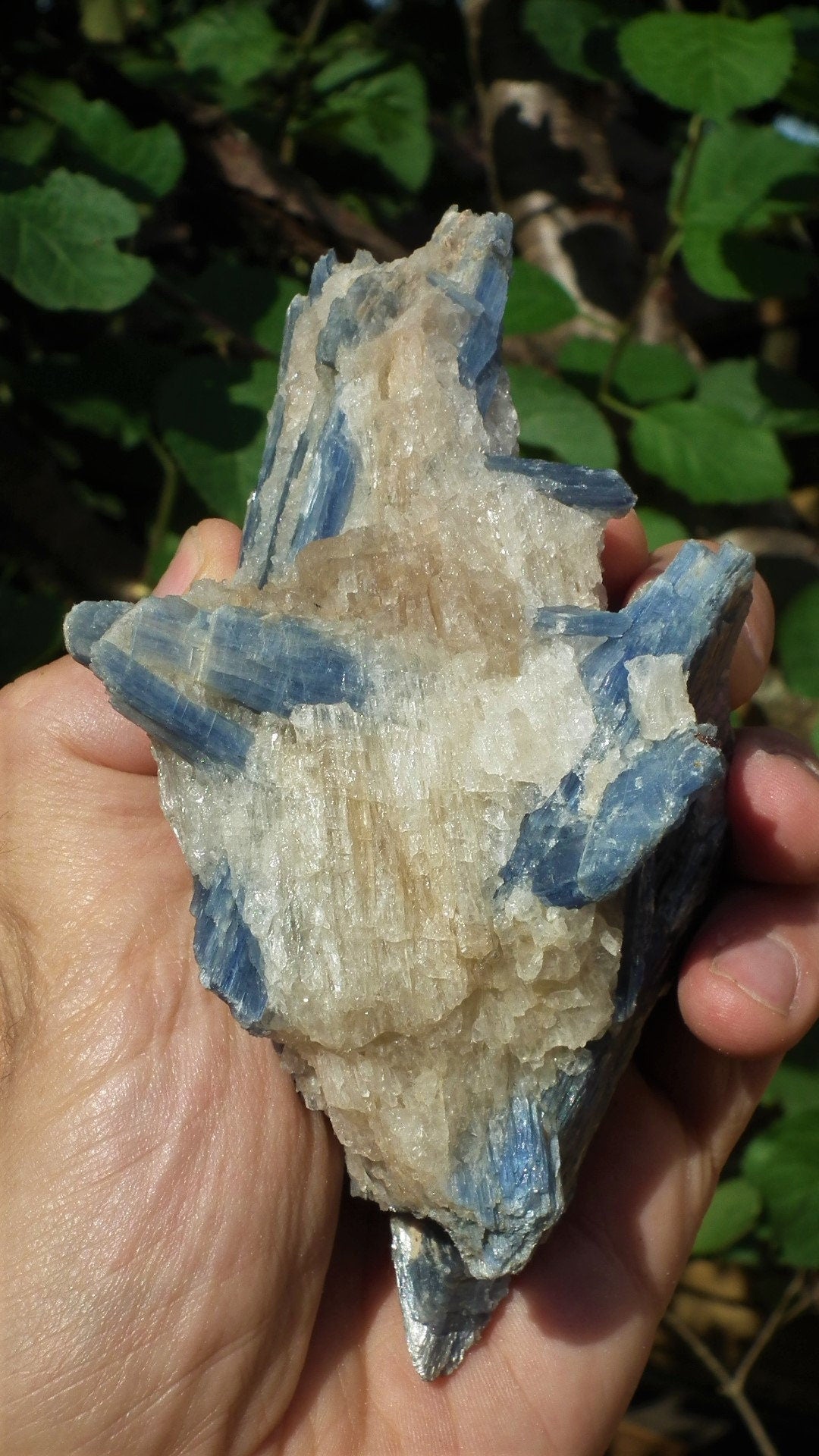 raw blue kyanite / large blue kyanite