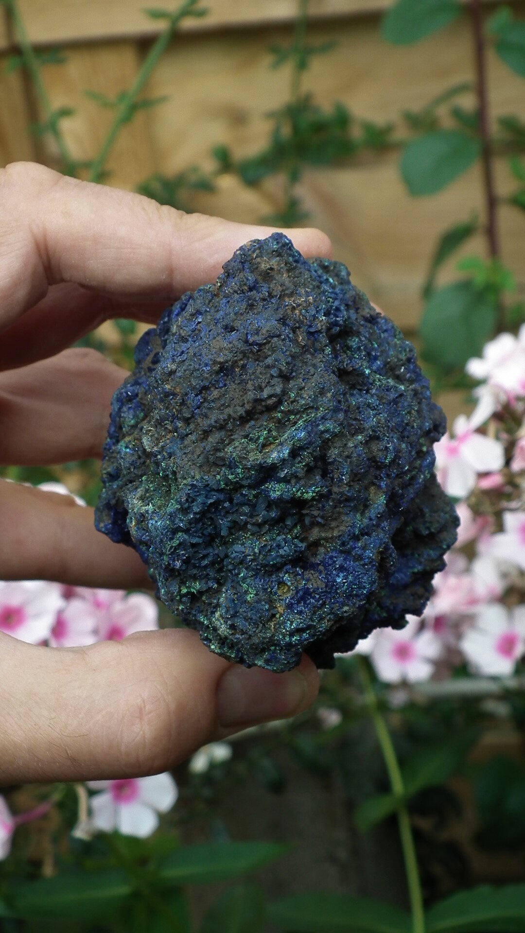 Azurite Malachite