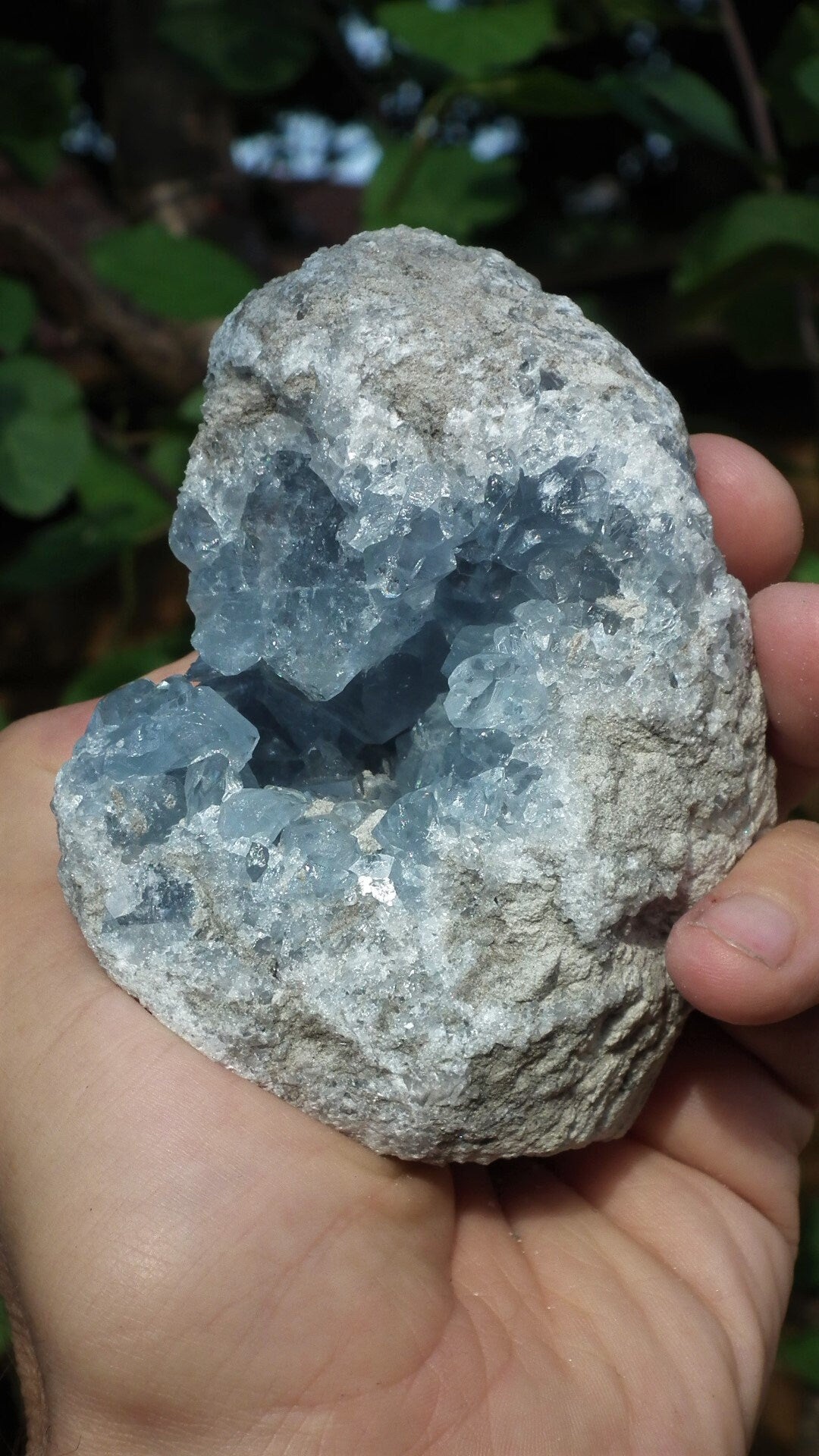 Celestite cluster / Celestite crystal / Celestite geode / Blue celestite