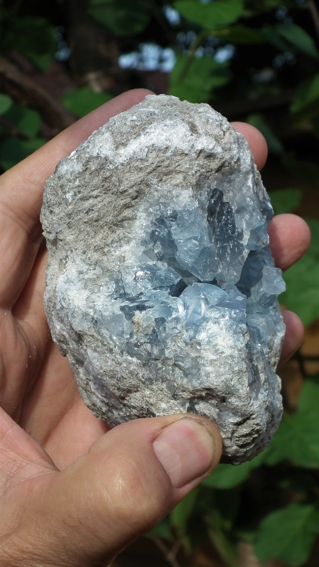 Celestite cluster / Celestite crystal / Celestite geode / Blue celestite