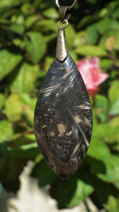 Feather Agate with bronze bail