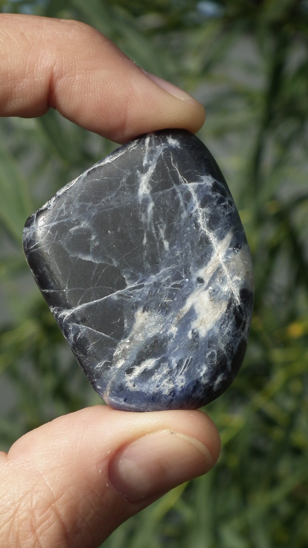 Blue sodalite Freeform / Sculpture / Palm piece