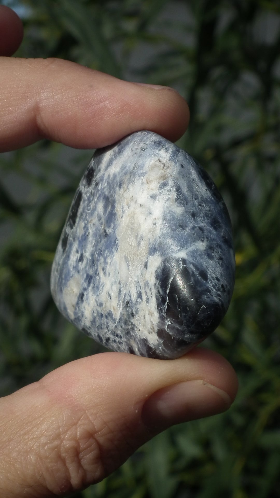 Blue sodalite Freeform / Sculpture / Palm piece