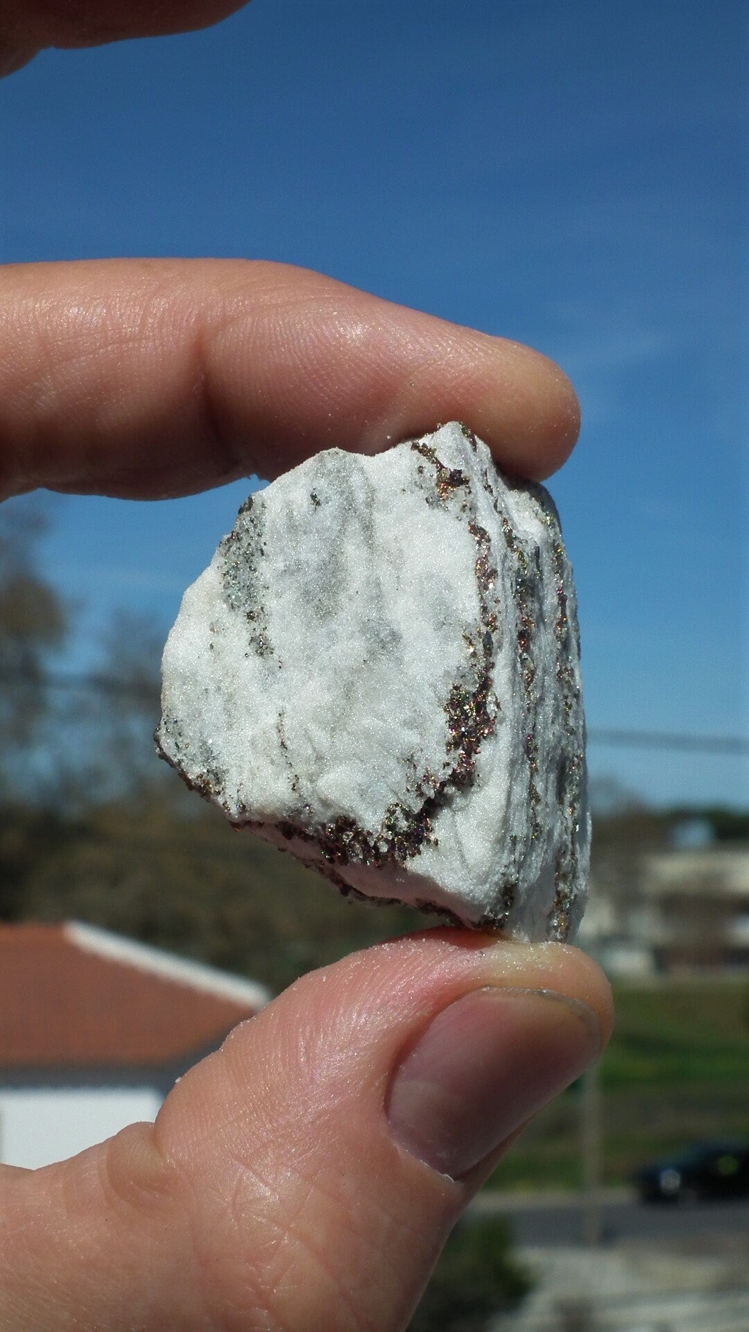 Pyrite in Snow Dolomite