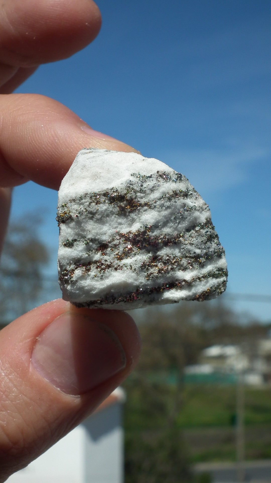 Pyrite in Snow Dolomite