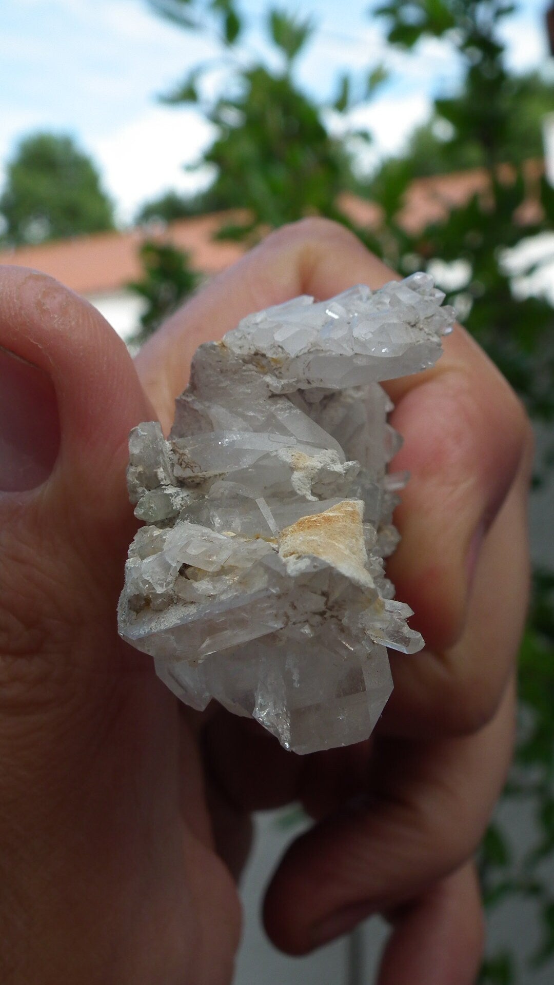 Green Chlorite Quartz Point