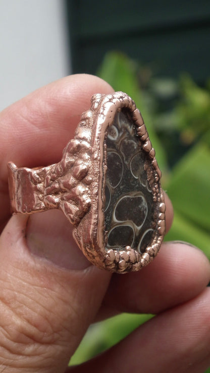 Electroformed Copper Turritella agate ring