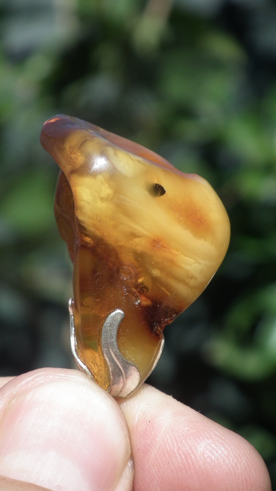 Baltic amber / bernstein pendant with silverplated bel cap