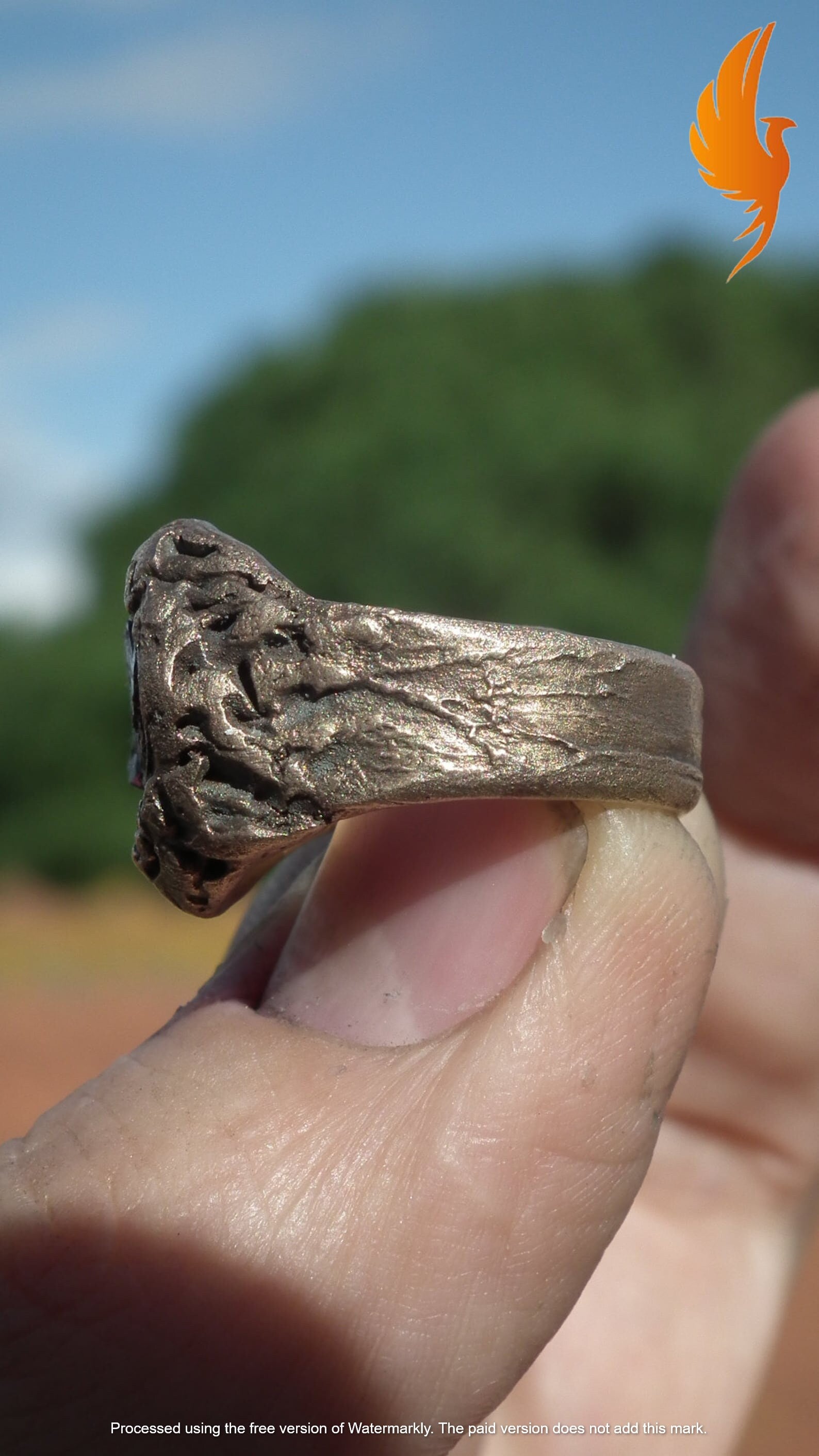 Raw garnet ring / Bronze ring