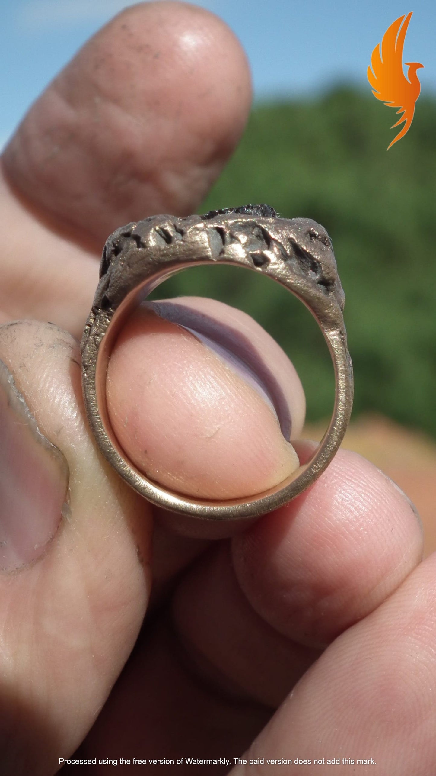 Raw garnet ring / Bronze ring