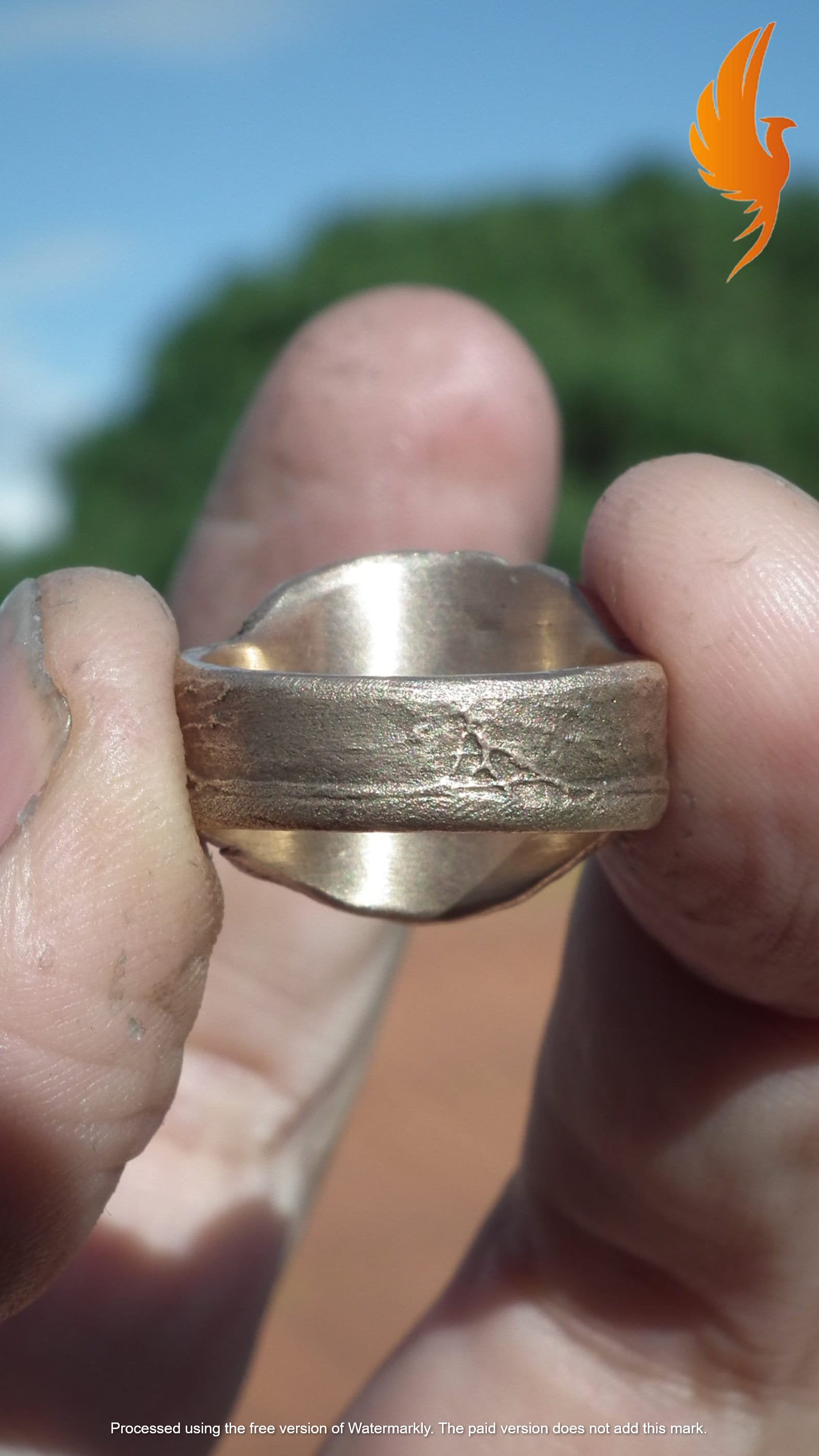 Raw garnet ring / Bronze ring