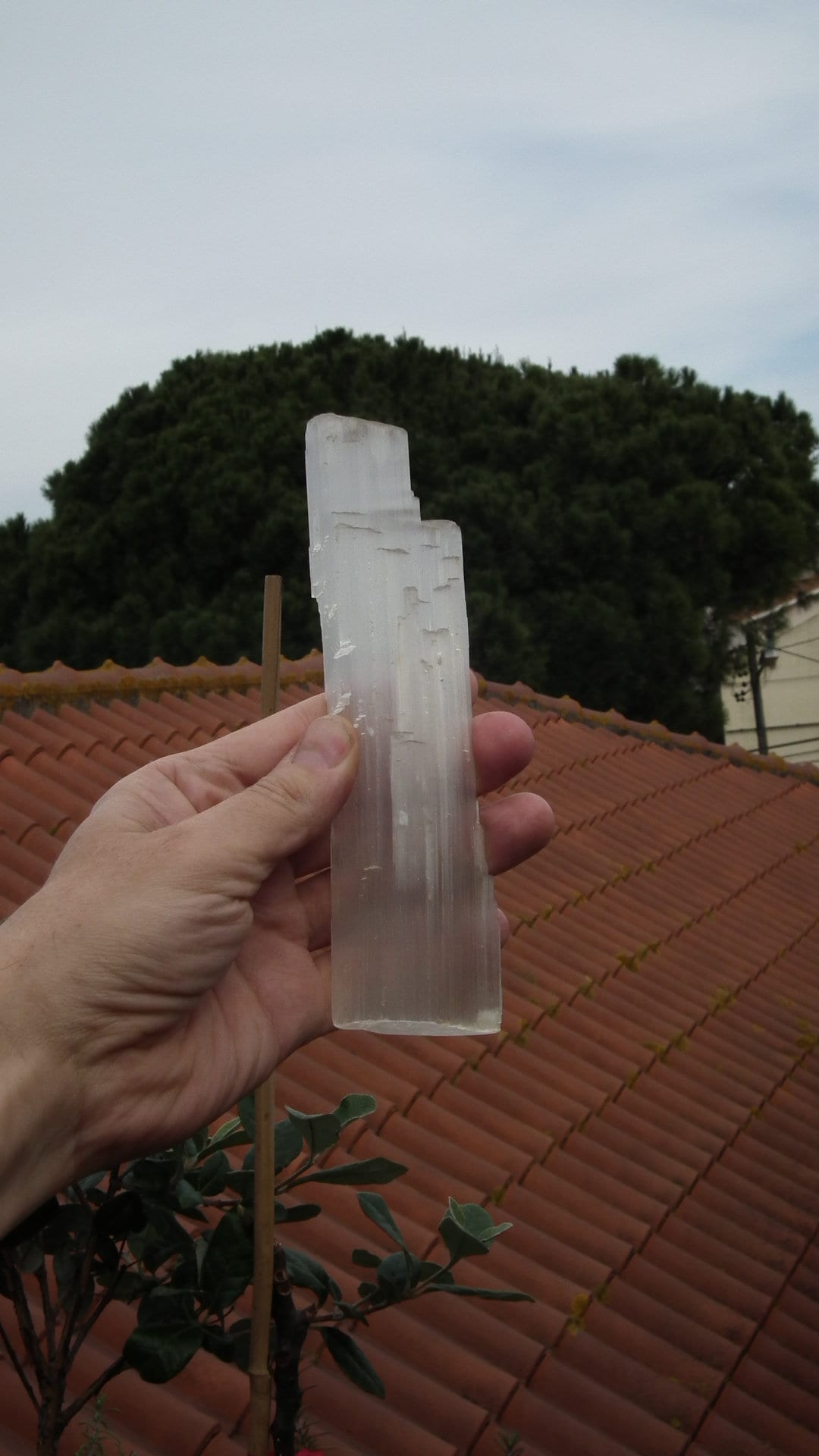 Selenite crystal // Selenite slab // Raw selenite