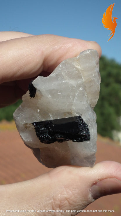 tourmalated quartz // tourmaline quartz // tourmaline crystal