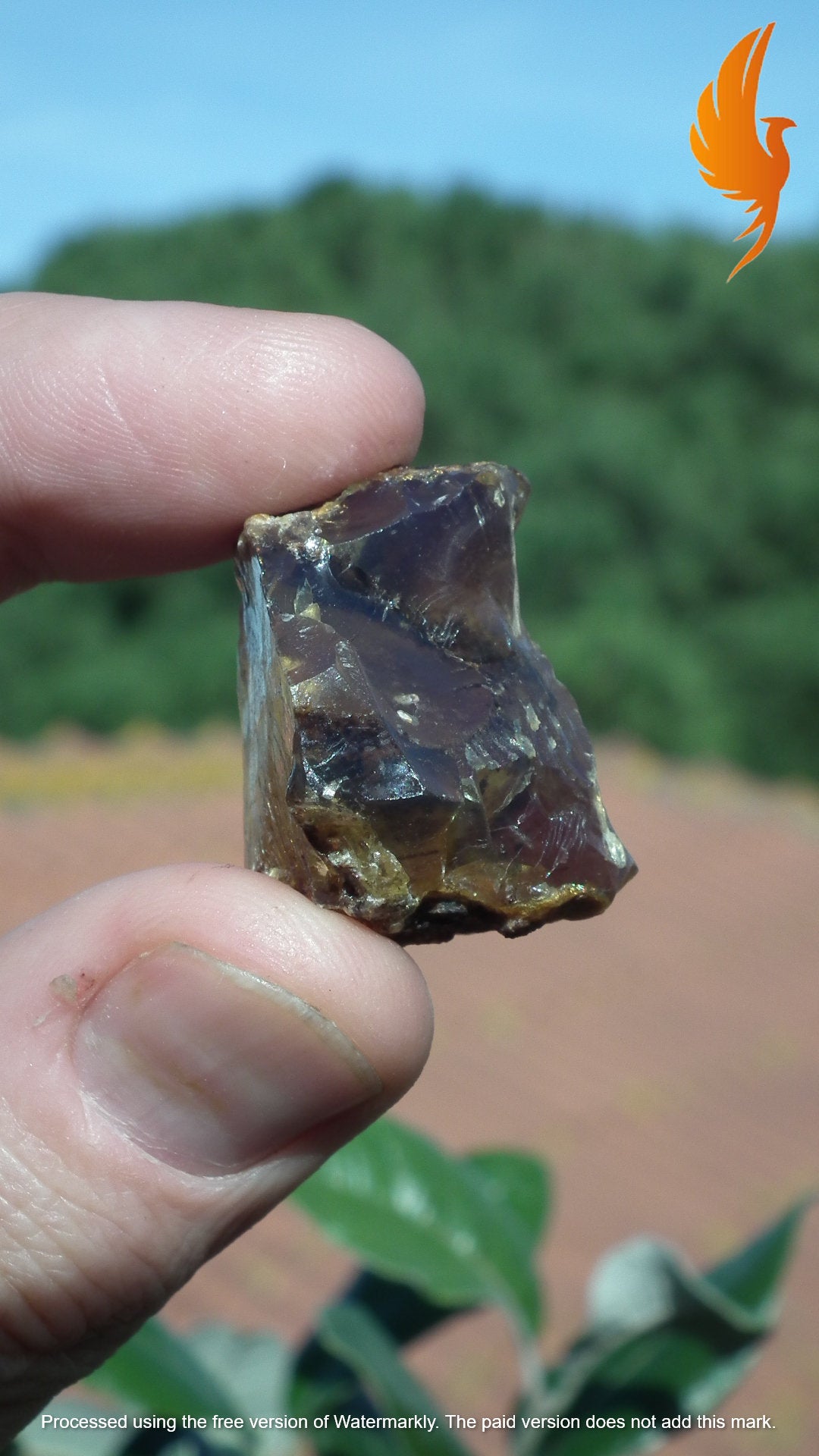 Amber stone // Raw sumatra amber