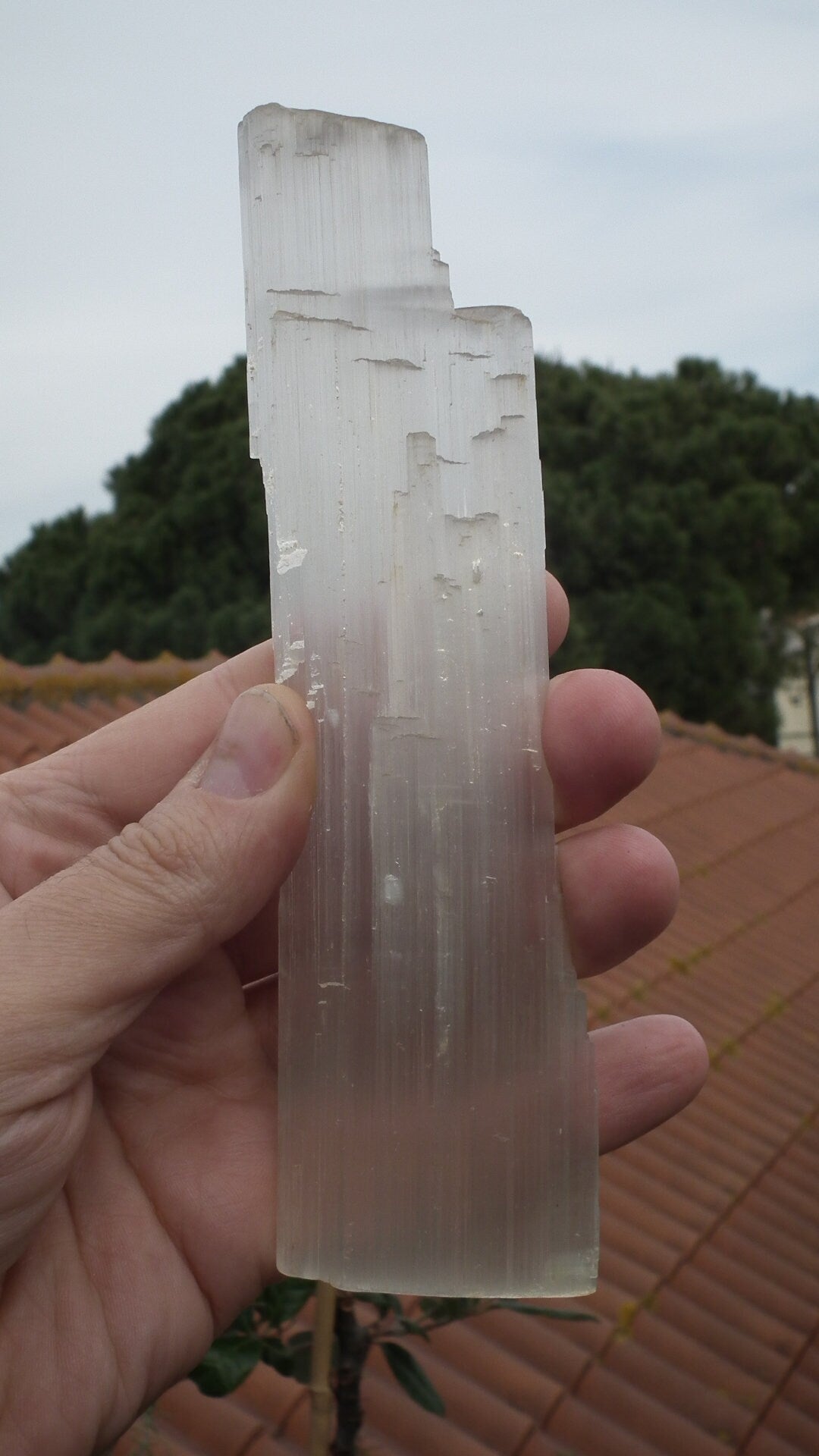 Selenite crystal // Selenite slab // Raw selenite