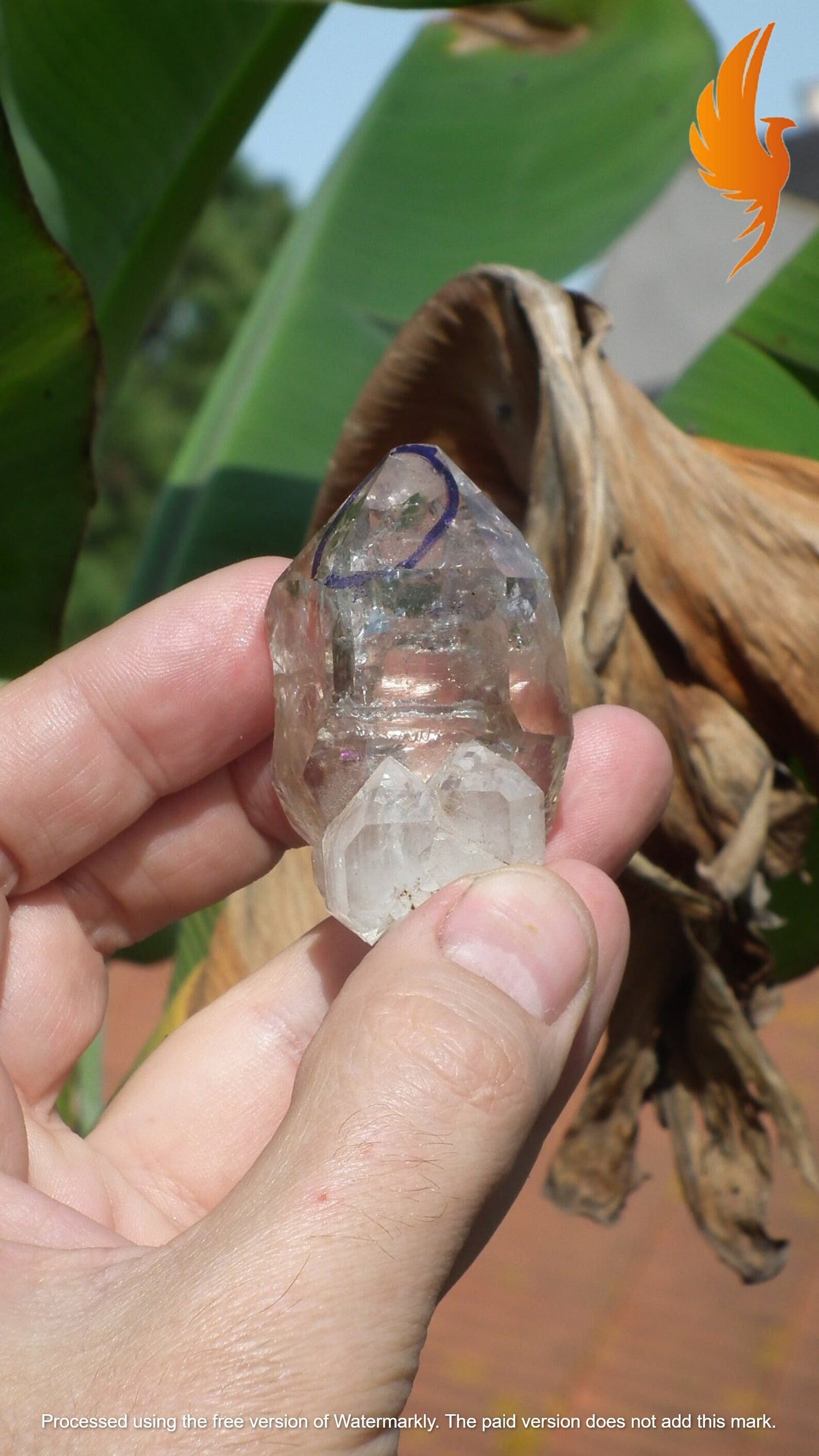 Double terminated enhydro quartz