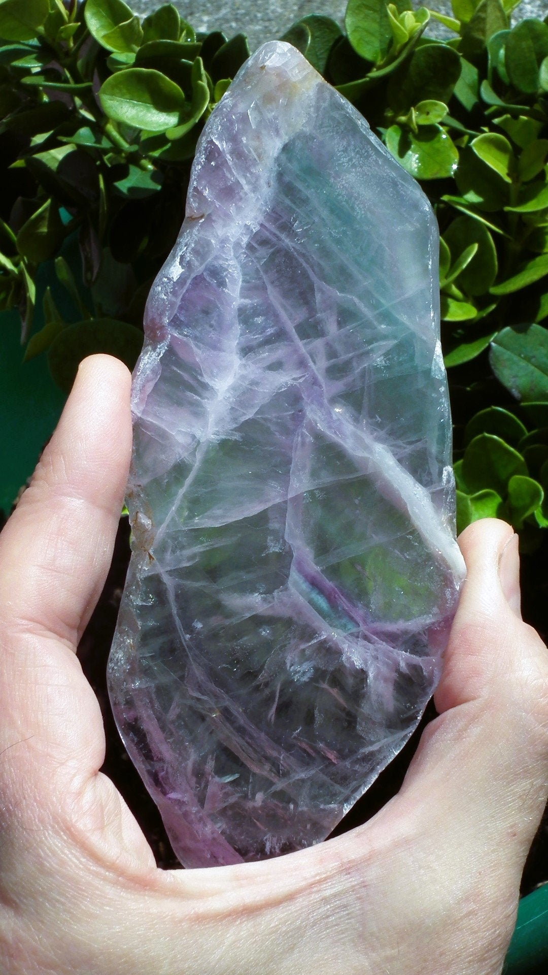 Rainbow Fluorite Slab