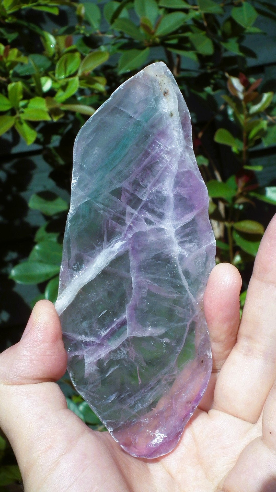 Rainbow Fluorite Slab